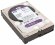 Жесткий диск Western Digital WD Purple 6 ТБ WD60PURZ